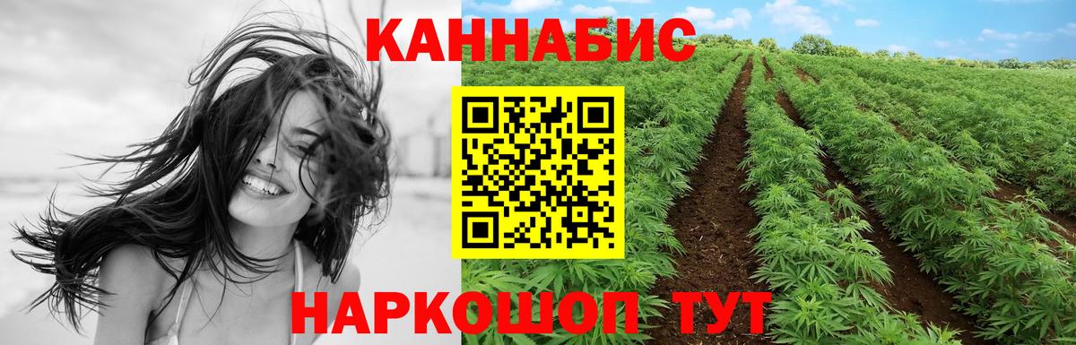 Конопля гибрид  Бошки Шишки AK-47  Вход с VPN  Бошки марихуана White Widow  Анжеро-Судженск  Каннабис OG Kush 